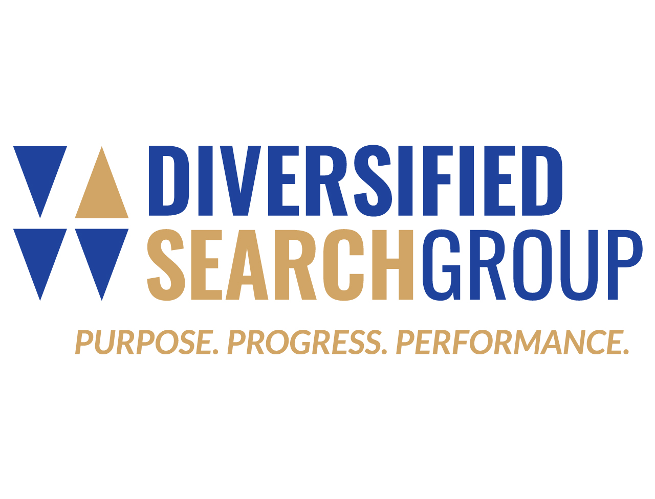 Diversified Search Group